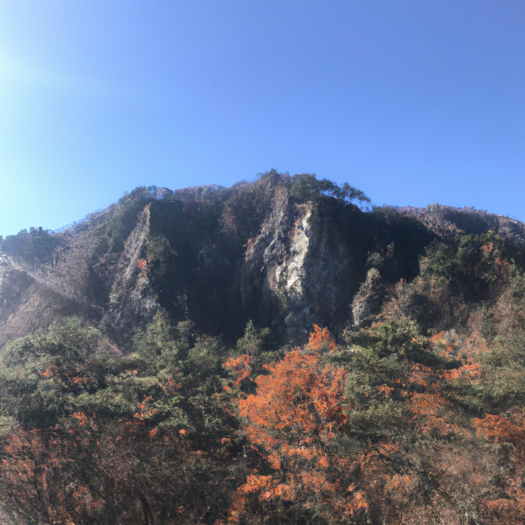 같은 말 같아도 다릅니다 꼭 알아야 할 표현
